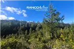  Venta  Parcela en Valdivia  UF2.636,78 $108.000.000 