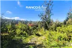  Venta  Parcela en Valdivia  UF2.636,78 $108.000.000 