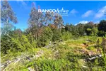  Venta  Parcela en Valdivia  UF2.636,78 $108.000.000 