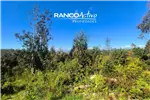  Venta  Parcela en Valdivia  UF2.636,78 $108.000.000 