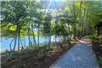  Venta  Parcela en Valdivia  $83.965.950 UF2.050 