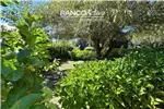 Venta  Casa en Valdivia  UF5.005,01 $205.000.000 