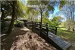  Venta  Casa en Valdivia  UF5.005,01 $205.000.000 