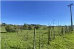  Venta  Parcela en Chillán  UF1.196,32 $49.000.000 