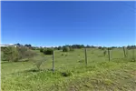  Venta  Parcela en Chillán  UF1.196,32 $49.000.000 