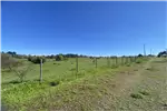  Venta  Parcela en Chillán  UF1.196,32 $49.000.000 