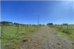  Venta  Parcela en Chillán  UF1.196,32 $49.000.000 