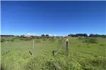  Venta  Parcela en Chillán  UF1.196,32 $49.000.000 
