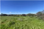  Venta  Parcela en Chillán  UF1.196,32 $49.000.000 