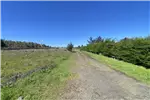  Venta  Parcela en Chillán  UF1.196,32 $49.000.000 