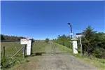  Venta  Parcela en Chillán  UF1.196,32 $49.000.000 
