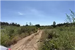  Venta  Agrícola en Quillón  $225.274.500 UF5.500 