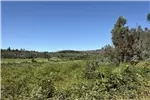  Venta  Agrícola en Quillón  $225.274.500 UF5.500 