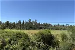  Venta  Agrícola en Quillón  $225.274.500 UF5.500 
