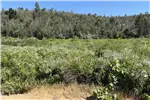  Venta  Agrícola en Quillón  $225.274.500 UF5.500 