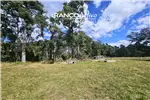  Venta  Parcela en Paillaco  UF976,59 $40.000.000 