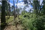  Venta  Parcela en Paillaco  UF976,59 $40.000.000 