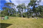  Venta  Parcela en Paillaco  UF976,59 $40.000.000 