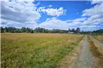  Venta  Parcela en Paillaco  UF976,59 $40.000.000 