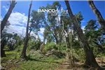  Venta  Parcela en Paillaco  UF976,59 $40.000.000 