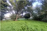  Venta  Sitio en Chillán Viejo  $520.179.300 UF12.700 
