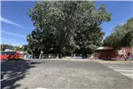  Venta  Sitio en Chillán Viejo  $520.179.300 UF12.700 