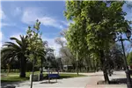  Venta  Sitio en Chillán Viejo  $520.179.300 UF12.700 