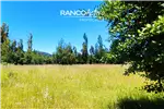 Arriendo  Sitio en Padre las Casas  UF31,74 $1.300.000 
