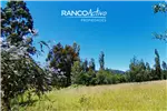  Arriendo  Sitio en Padre las Casas  UF31,74 $1.300.000 