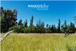  Arriendo  Sitio en Padre las Casas  UF31,74 $1.300.000 