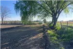  Venta  Parcela en Chillán  UF1.220,73 $50.000.000 