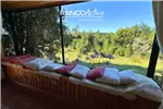  Arriendo  Casa en Valdivia  UF19,53 $800.000 
