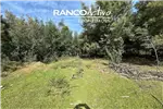  Venta  Parcela en Quillón  UF610,37 $25.000.000 