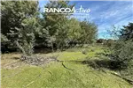  Venta  Parcela en Quillón  UF610,37 $25.000.000 