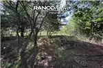  Venta  Parcela en Quillón  UF610,37 $25.000.000 