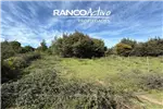  Venta  Parcela en Quillón  UF610,37 $25.000.000 