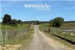  Venta  Parcela en Quillón  UF610,37 $25.000.000 