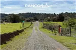  Venta  Parcela en Quillón  UF610,37 $25.000.000 