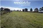  Venta  Sitio en Chillán Viejo  UF1.464,88 $60.000.000 