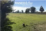  Venta  Sitio en Chillán Viejo  UF1.464,88 $60.000.000 