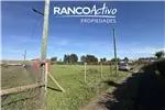 Venta  Sitio en Chillán Viejo  UF1.464,88 $60.000.000 