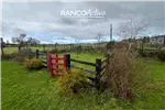  Venta  Casa en Puerto Varas  $335.863.800 UF8.200 