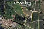  Venta  Agrícola en Quillón  $829.010.160 UF20.240 