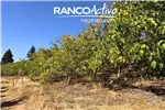  Venta  Agrícola en Quillón  $829.010.160 UF20.240 