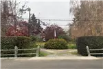  Venta  Casa en San Fernando  $573.426.000 UF14.000 