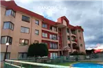  Arriendo  Departamento en Temuco  UF14,65 $600.000 