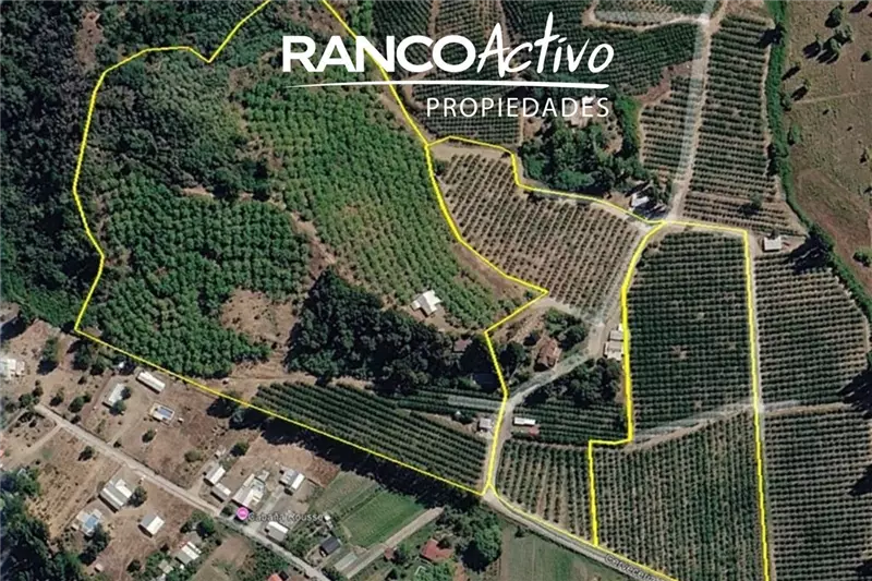Agrícola en Quillón