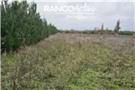  Venta  Parcela en Coihueco  UF903,34 $37.000.000 