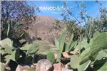  Venta  Sitio en La Higuera  UF854,51 $35.000.000 