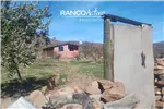  Venta  Sitio en La Higuera  UF854,51 $35.000.000 